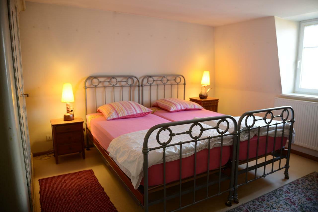 Albrecht Guest Apartement Kembs 외부 사진